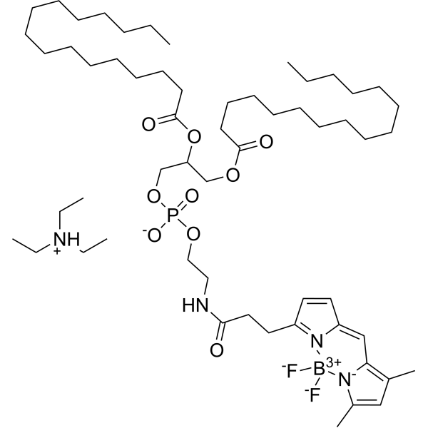 BODIPY FL-DHPE 217075-07-5